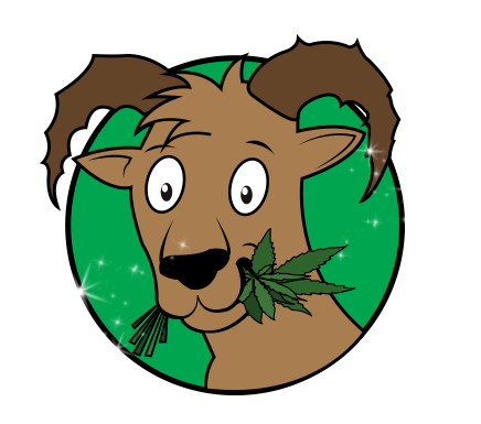 logo-cbd-weedyland